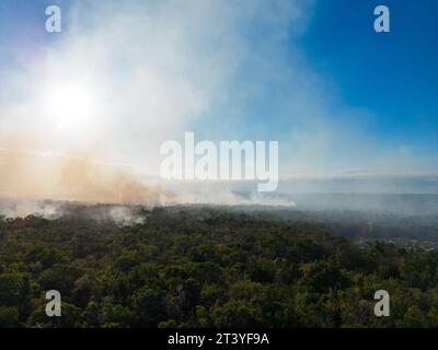 Vista aérea del humo de los incendios locales en los campos verdes durante la sequía y el clima caluroso. Efectos globales del cambio climático. Foto de stock
