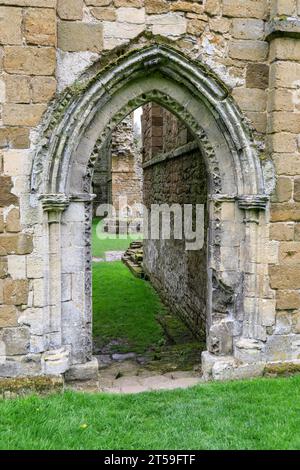 Ruinas de la abadía de Rievaulx, Rievaulx, cerca de Helmsley, en el Parque Nacional de los Moros de North York, North Yorkshire, Inglaterra, Reino Unido Foto de stock