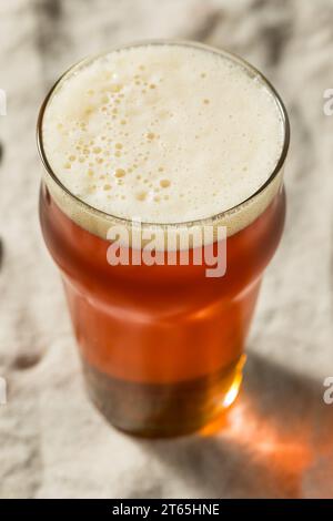 Boozy Cold Dark Brown Craft Cerveza en un vaso de pinta Foto de stock