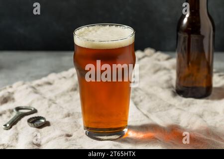 Boozy Cold Dark Brown Craft Cerveza en un vaso de pinta Foto de stock