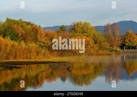 El otoño coloreó árboles y arbustos con un telón de fondo de montaña reflejado en el lago Trout en Vancouver BC Canadá Foto de stock