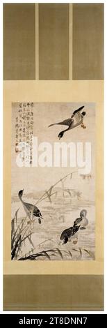 Bic Shoumin, pergamino colgante chino del siglo XVIII, gansos Descendente en un banco de arena, tinta y ligero color sobre papel, 1730 Foto de stock