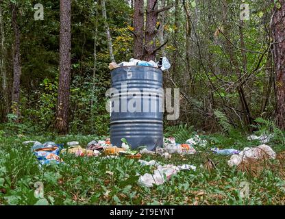 Basura, basura dispersa, basura en la naturaleza, bosque Foto de stock