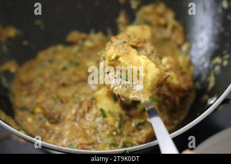 Delicioso curry Paneer masala adornado con cebolla caramelizada y hojas de cilantro hechas con queso cottage preparado en salsa de yogur. Un plato de acompañamiento bu Foto de stock