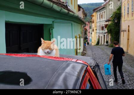 Un gato duerme encima de un coche estacionado en Sighișoara, Rumania, 31 de julio de 2023. Foto de Tim Chong Foto de stock