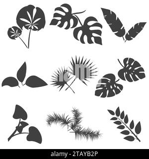 Hojas tropicales siluetas vector conjunto aislado sobre fondo blanco. Colección de hojas diferentes. Flora de bosque selvático. Plátano y hojas de palma exóticas Ilustración del Vector