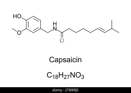 Capsaicina, fórmula química y estructura. Componente activo de los chiles, plantas pertenecientes al género Capsicum. Irritante químico y neurotoxina. Foto de stock