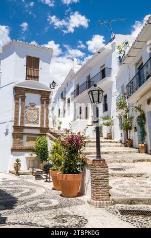 Una calle idílica de la ciudad pequeña con pintorescos edificios blancos y exuberante vegetación que bordea el camino Foto de stock