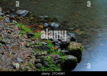 rocas cubiertas de musgo en el borde de un lago poco profundo Foto de stock