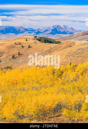 aspen en color de otoño y los picos de lima en la distancia vista desde la cordillera de grava a través del valle centenario cerca de la vista del lago, montana Foto de stock