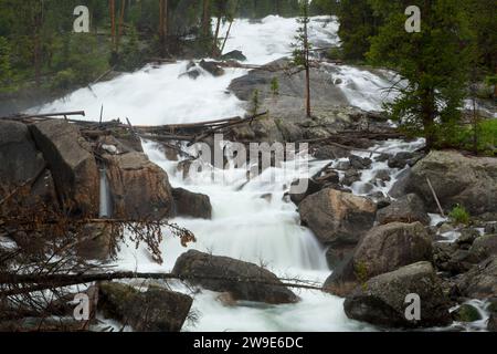 Crazy Creek Falls, Shoshone National Forest, Beartooth Scenic Highway desviación, Wyoming Foto de stock