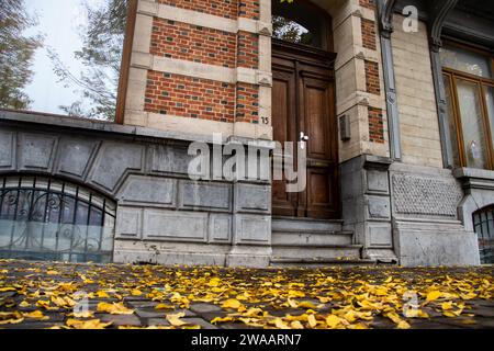 Calles de la ciudad después de la lluvia de otoño, con hojas secas de color amarillo dorado en la superficie, con reflejo de la ciudad en charco Foto de stock