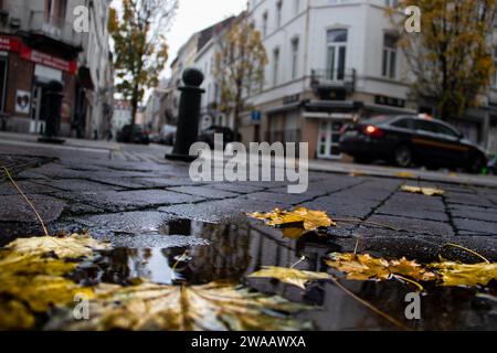 Calles de la ciudad después de la lluvia de otoño, con hojas secas de color amarillo dorado en la superficie, con reflejo de la ciudad en charco Foto de stock