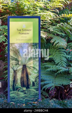 El Sydney Fernery en el Royal Botanic Gardens, Sydney, Australia, tiene ...