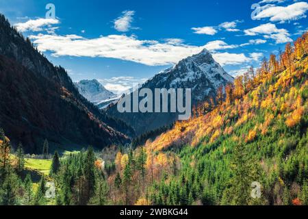 Paisaje de montaña en el valle de Hintersteiner en un día soleado en otoño. Bosques brillantes amarillos y montañas cubiertas de nieve bajo un cielo azul. Allgäu Alpes, Baviera, Alemania, Europa Foto de stock
