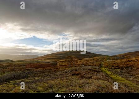Mirando desde el sendero hasta el monumento del Maule en Tarfside hacia la colina de Rowan en Upper Glen Esk con el sol bajo que se extiende las sombras a través de la Foto de stock
