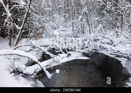Área Natural de Quigley Creek después de una tormenta de nieve en el condado de Mecosta, Michigan, Estados Unidos Foto de stock