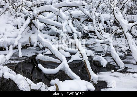 Área Natural de Quigley Creek después de una tormenta de nieve en el condado de Mecosta, Michigan, Estados Unidos Foto de stock