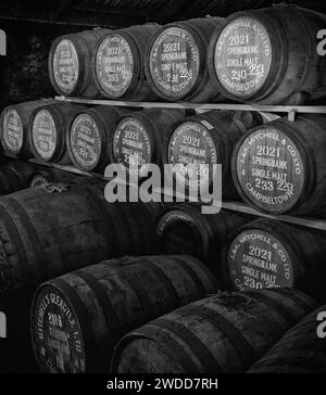 Barriles de whisky, destilería Springbank, Campbeltown, Kintyre, Escocia Foto de stock
