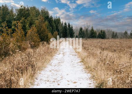 Una vista escénica de un sendero paNature serpenteando a través de altos pastos en la distancia Foto de stock