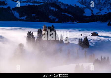 Campo agrícola montañoso con niebla, una cabaña de madera, árboles y pastos cubiertos de nieve en Seiser Alm en invierno. Kastelruth Trentino-Alto Adige Italia F Foto de stock