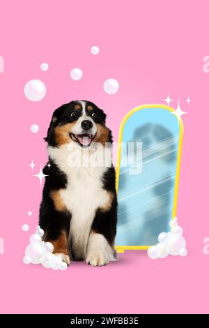 Arte estético moderno. Perro de raza pura sentado frente al espejo en espuma de jabón y burbujas contra fondo rosa. Aseo de mascotas. Foto de stock
