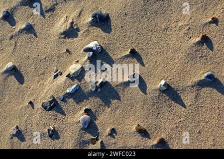Un estudio abstracto de pequeñas piedras y guijarros revelado en una playa soplada por el viento en la costa de Norfolk en Sea Palling, Norfolk, Inglaterra, Reino Unido. Foto de stock
