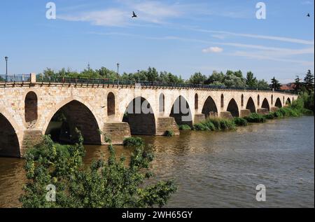 Zamora, Puente de Piedra (siglo XIII medieval). Castilla y León, España. Foto de stock