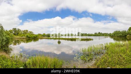 Lago en una llanura aluvial en verano Fotografía de stock - Alamy