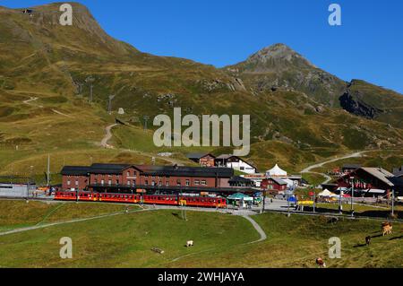 Die Jungfraujoch Bahn auf der Kleine Scheidegg am Fusse von Eiger | El tren Jungfraujoch en el Kleine Scheidegg al pie de las montañas suizas alp Foto de stock