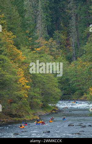 Kayak en Clackamas silvestres y escénicos, al oeste del río cascadas escénicas, desviación, el Bosque Nacional de Mt Hood, Oregon Foto de stock