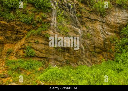 El agua en cascada fluye por un acantilado con una densa cubierta de plantas verdes, en Corea del Sur Foto de stock