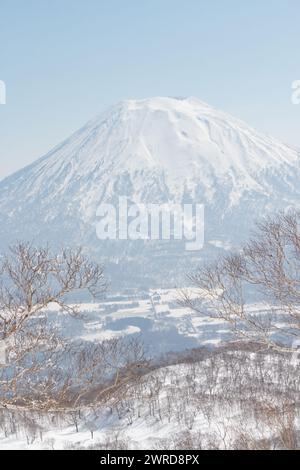 Abedules frente al paisaje de invierno del Monte Yotei, Japón Foto de stock