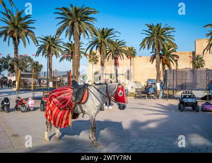 Una joven conduce un scooter de juguete pasando por un caballo decorado en la plaza Bourguiba, junto al Ribat, Monastir, Túnez Foto de stock