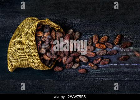 Primer plano de granos de cacao del árbol de cacao en una bolsa de arpillera. Foto de stock