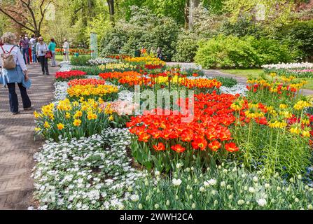 Exhibición de brillantes, coloridos y vibrantes macizos de flores y bordes en los Jardines Keukenhof, Lisse, Holanda en primavera con tulipanes y narcisos en flor Foto de stock
