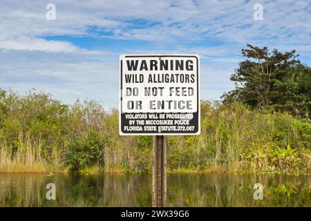 Parque Nacional de los Everglades, Florida, EE.UU. - 4 de diciembre de 2023: Señal de advertencia sobre no alimentar a los caimanes en una vía fluvial en los Everglades. Foto de stock
