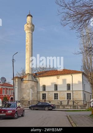 Vidin, Bulgaria - 16 de marzo de 2024: Símbolo de bronce de la ciudad ...