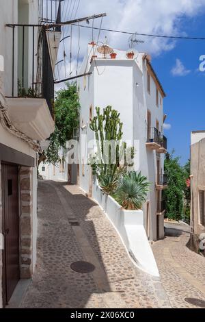 Esta toma vertical captura el encanto pintoresco de las calles históricas de Eivissa en Ibiza, España, con edificios encalados y cactus nativos que recubren el narr Foto de stock