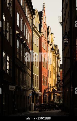 Un tranquilo callejón adoquinado iluminado por la luz del sol con coloridos edificios que bordean la calle en Gamla Stan, el distrito histórico de Estocolmo. Suecia Foto de stock