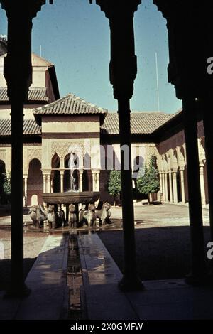 Una fuente en el Patio de los Leones (Patio de los Leones) en el Castillo de la Alhambra en Granada. [traducción automática] Foto de stock