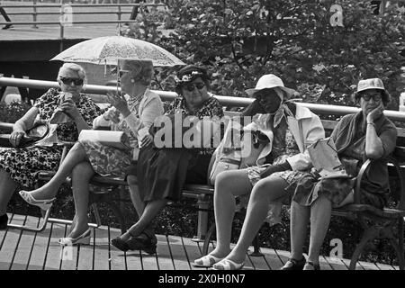 Cinco mujeres de edad sentada en un banco en Nueva York, uno de ellos se protege a sí misma desde el calor con una sombrilla. Foto de stock