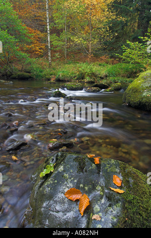 Aira beck colores de otoño, cerca del distrito del lago Ullswater cumbria inglaterra gb Europa ue Foto de stock