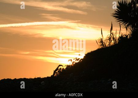 Mediterráneo Mediterráneo sunset sunset palm fond atardecer Foto de stock