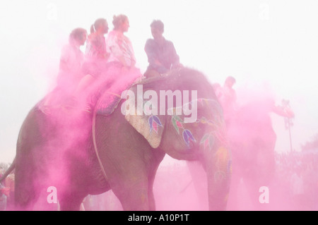Grupo de personas monta de elefantes, Elephant Festival, Jaipur, Rajasthan, India