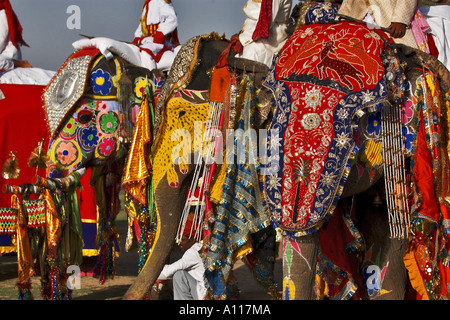 Elefantes pintados y decorados, Festival de elefantes, Estadio Chaugan, Jaipur, Rajasthan, India, Asia