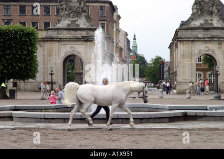 Soldado ejercer un caballo fuera del palacio de Christiansborg en Copenhague