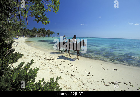 A Caballo en la playa, en el Puntacana Resort y Club de República Dominicana Caribe Antillas Foto de stock
