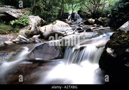 Blaen-y-Glyn cascadas, el Parque Nacional de Brecon Beacons Foto de stock