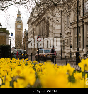 La torre del reloj Big Ben muelle amarillo narcisos taxi St James ningún modelo de liberación: blur, distancia pueblo irreconocible Foto de stock
